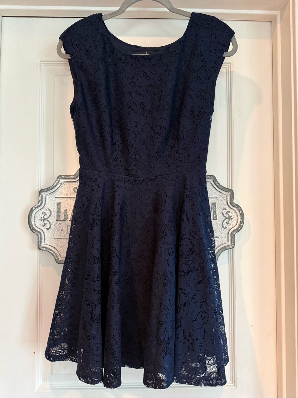 R. Wish Navy Blue Lace Fit & Flare Mini Dress